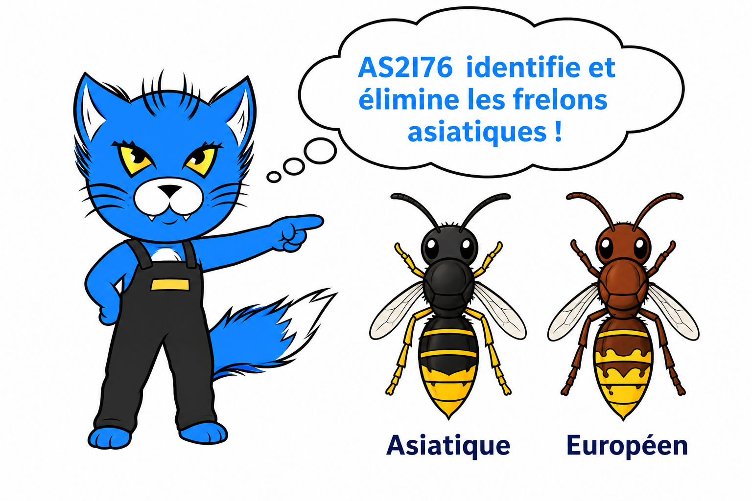 Mascotte AS2I76 – Frelon asiatique vs frelon européen