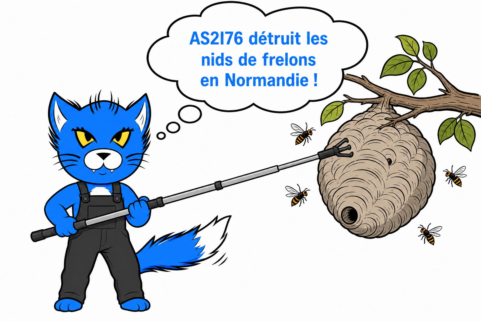 hero frelons asiatiques normandie AS2I76